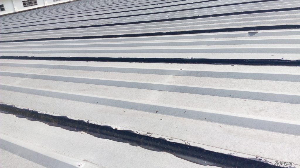 Thợ chống dột mái tôn tại quận 6